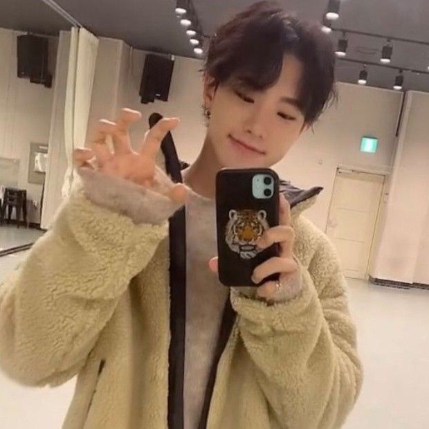 A moment captured by Hoshi (SEVENTEEN)'s fan