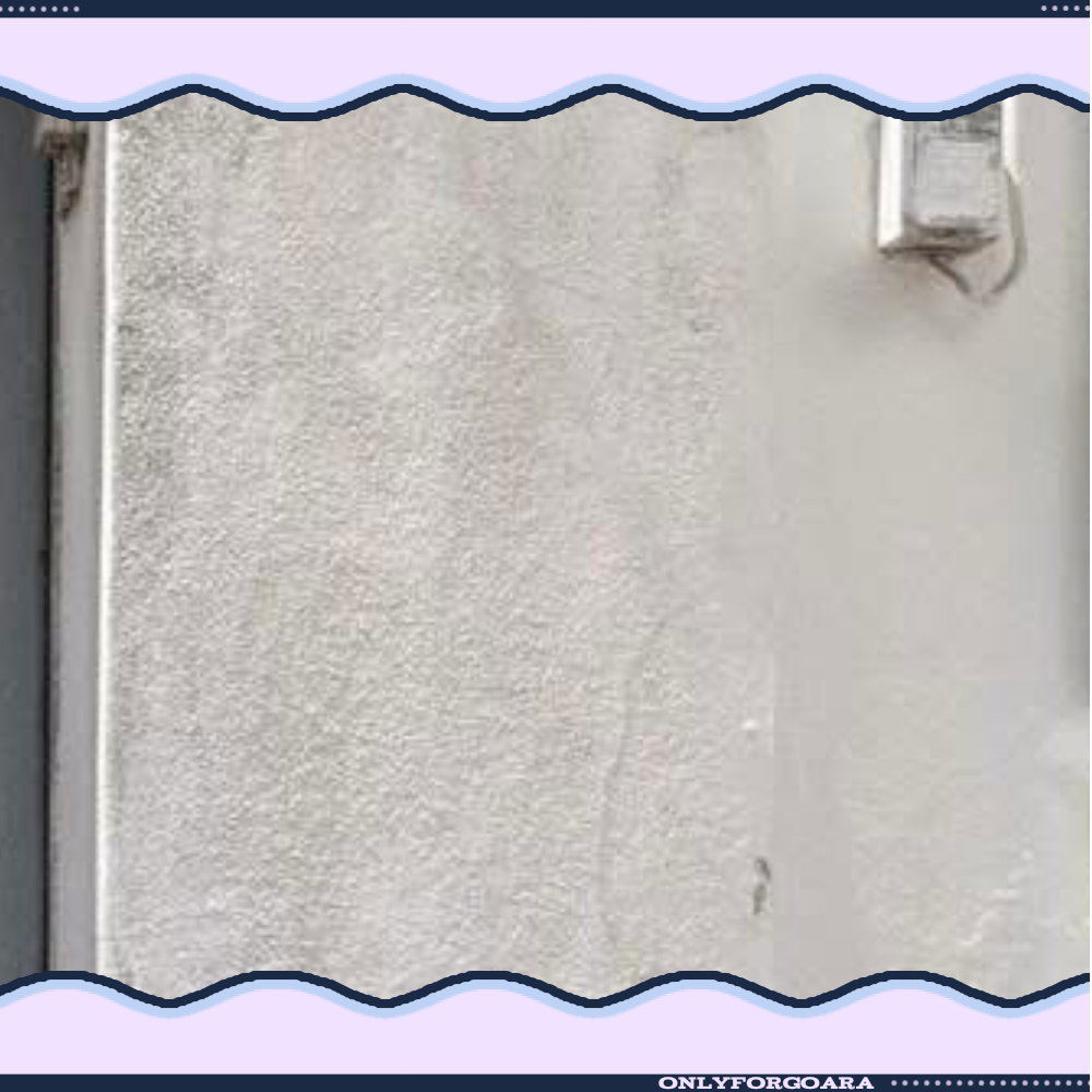 A moment captured by Son Tung M-TP's fan