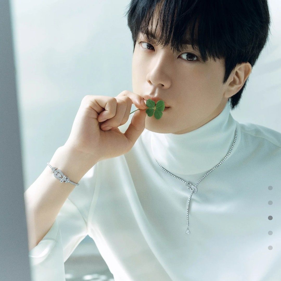 A moment captured by Jin (BTS)'s fan