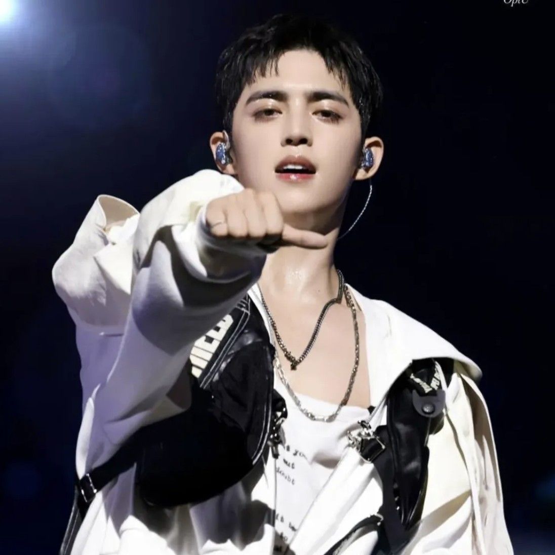 エスクプス (SEVENTEEN)ファンが撮った瞬間