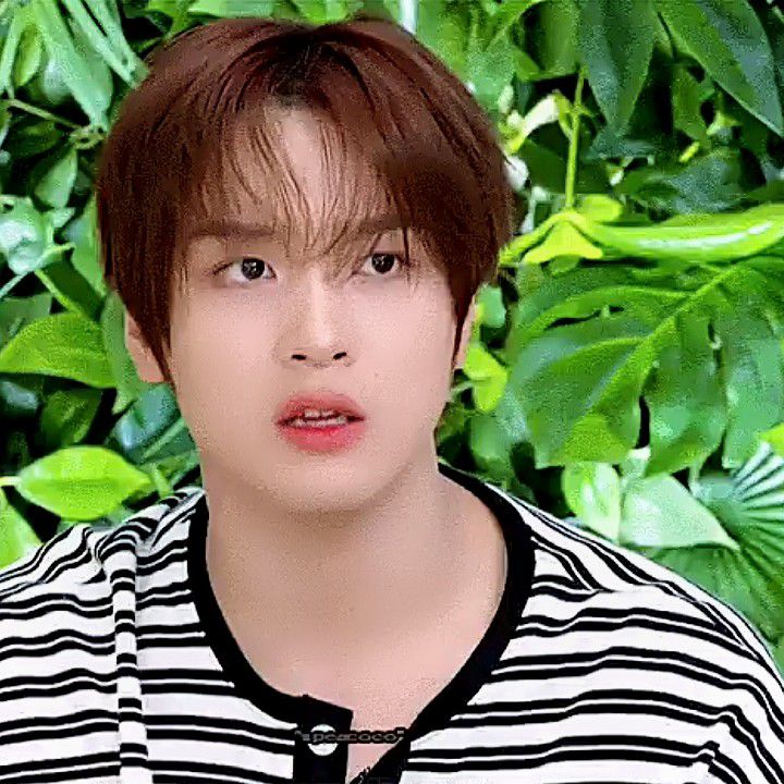 A moment captured by Haechan (NCT 127, NCT DREAM)'s fan