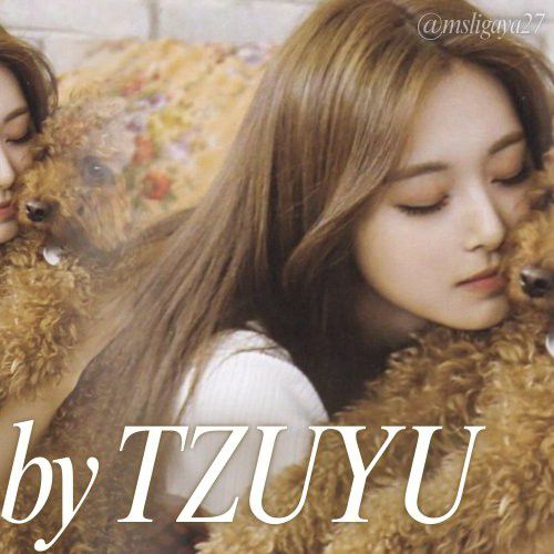 쯔위 (TWICE) 팬이 찍은 순간