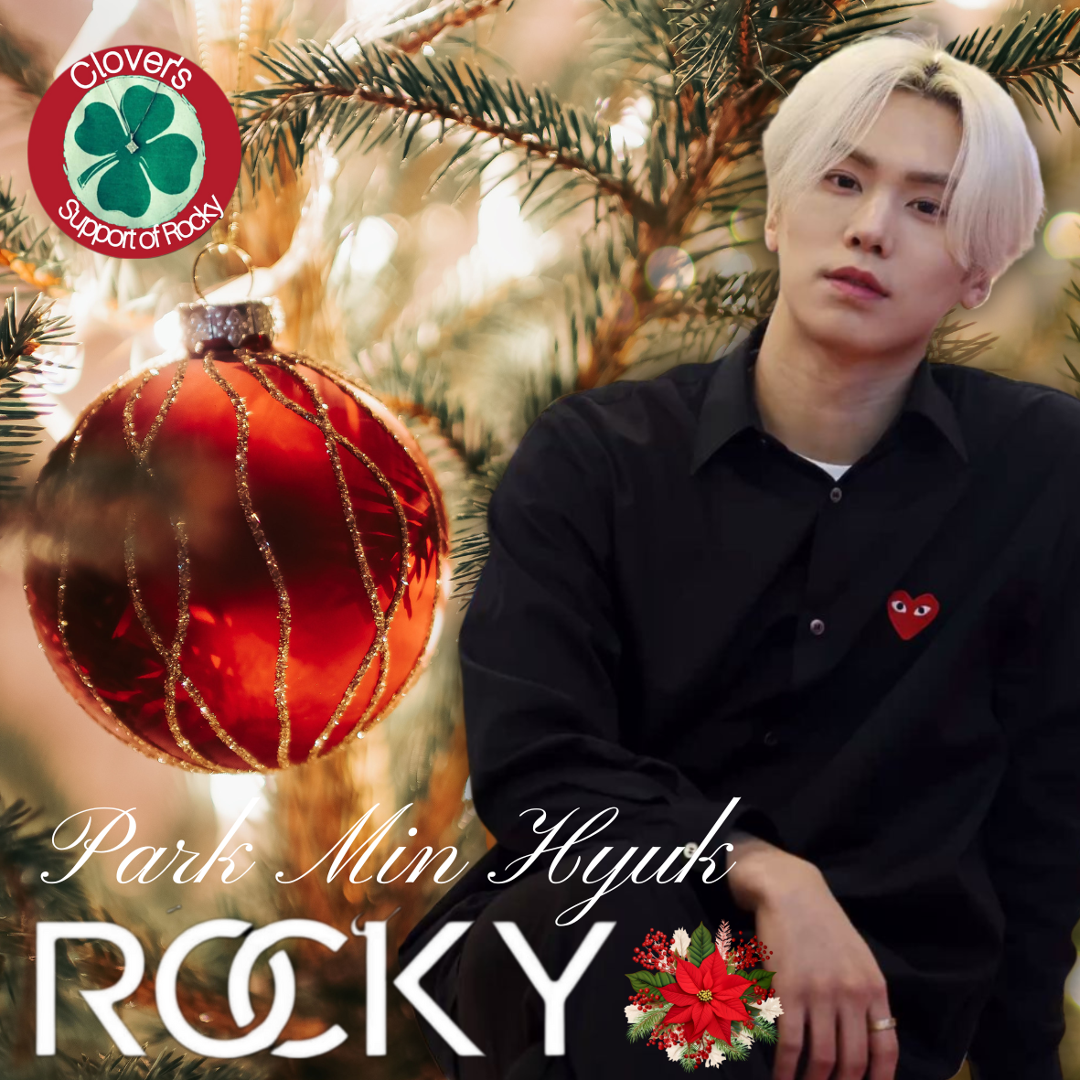 Recent activity shot of Rocky