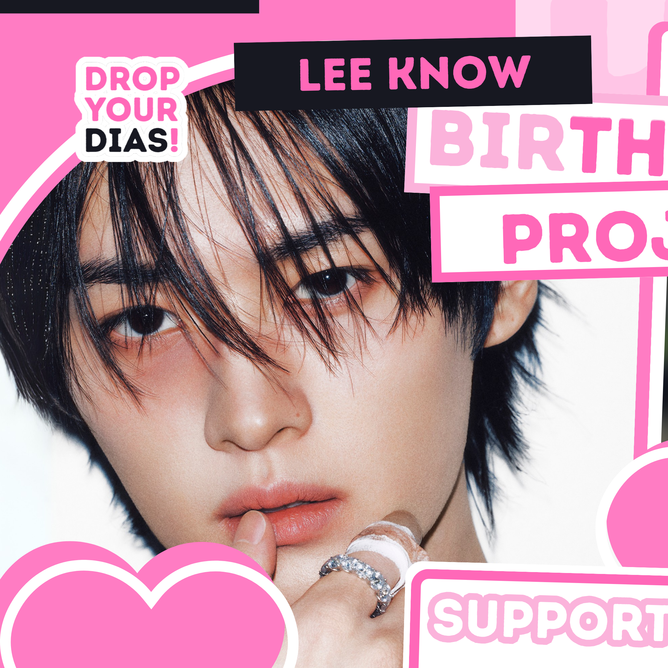 Stray Kids Lee Know Fandom Community │ No.1 KPOP App CHOEAEDOL