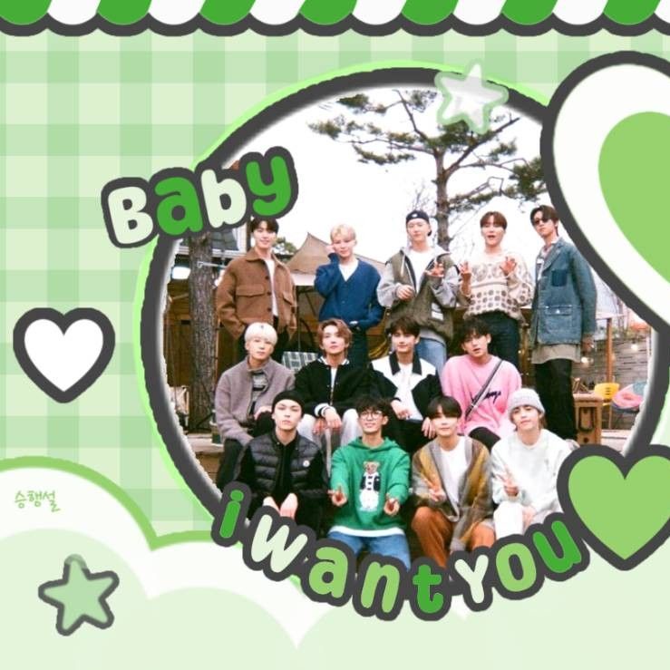 세븐틴 팬이 찍은 순간