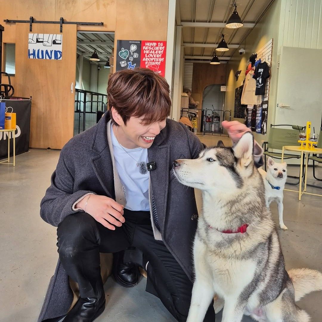 A moment captured by Kang Daniel's fan