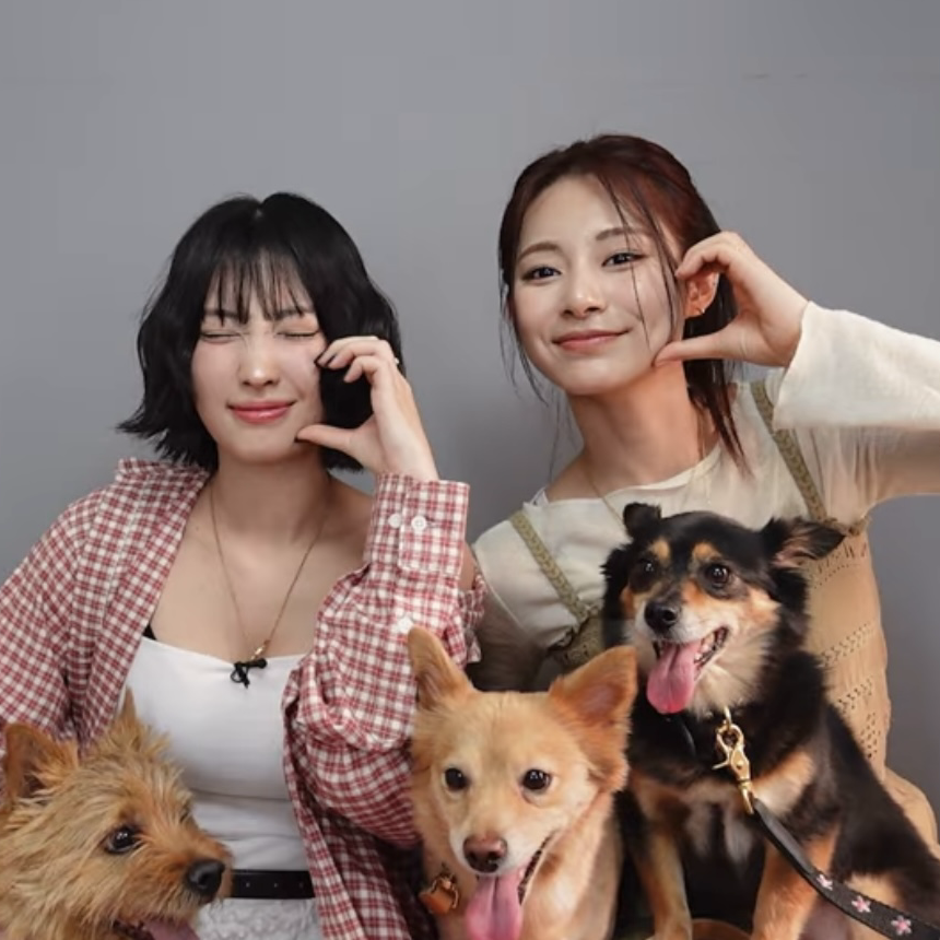 Latest photo of Tzuyu (TWICE)