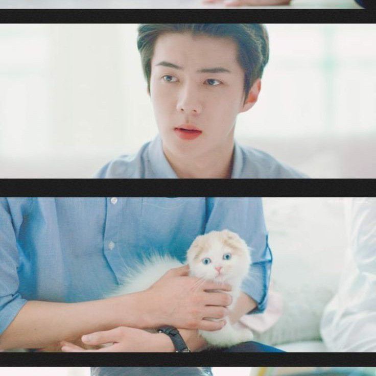 Foto terbaru EXO