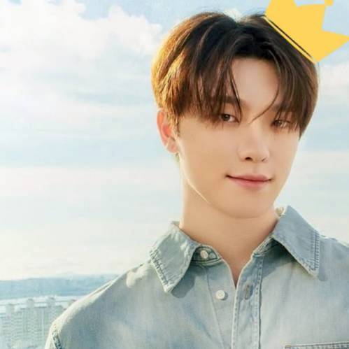 A moment captured by Dino (SEVENTEEN)'s fan