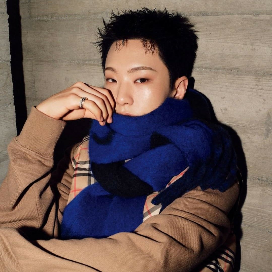 A moment captured by Hoshi (SEVENTEEN)'s fan
