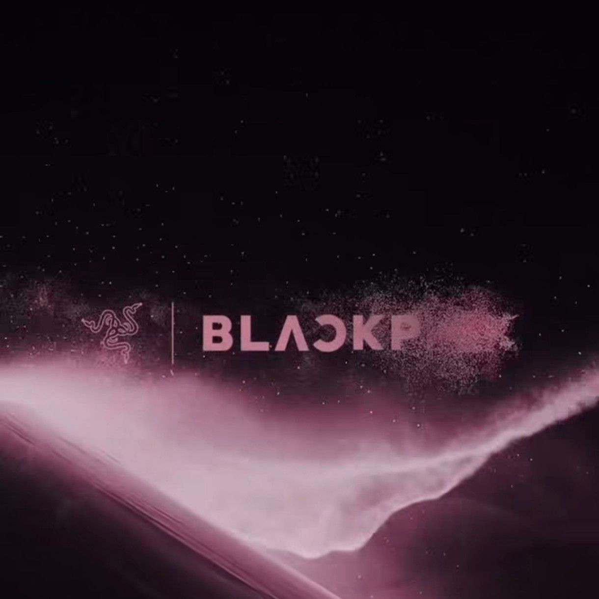 Momen yang diabadikan oleh penggemar BLACKPINK