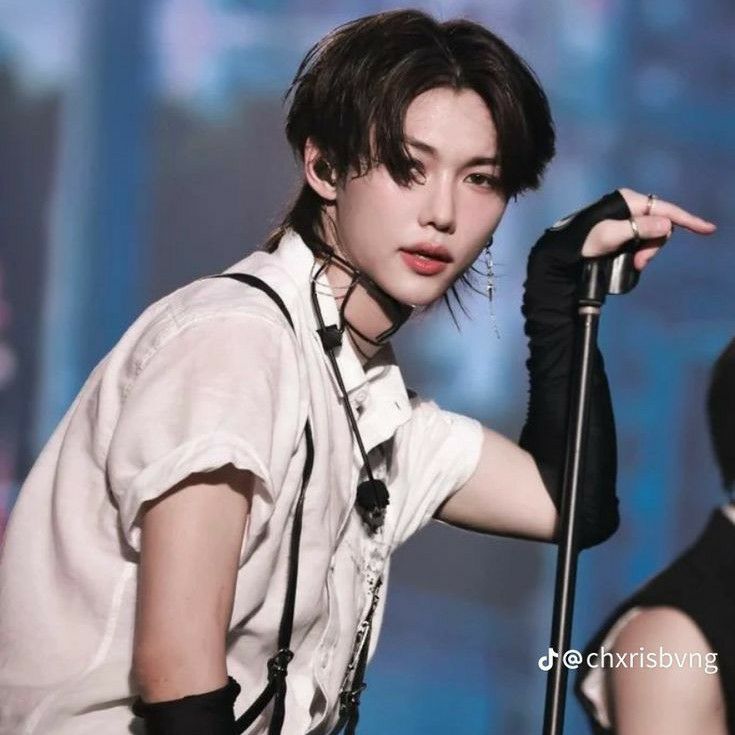 Felix (Stray Kids)的最新活动照片
