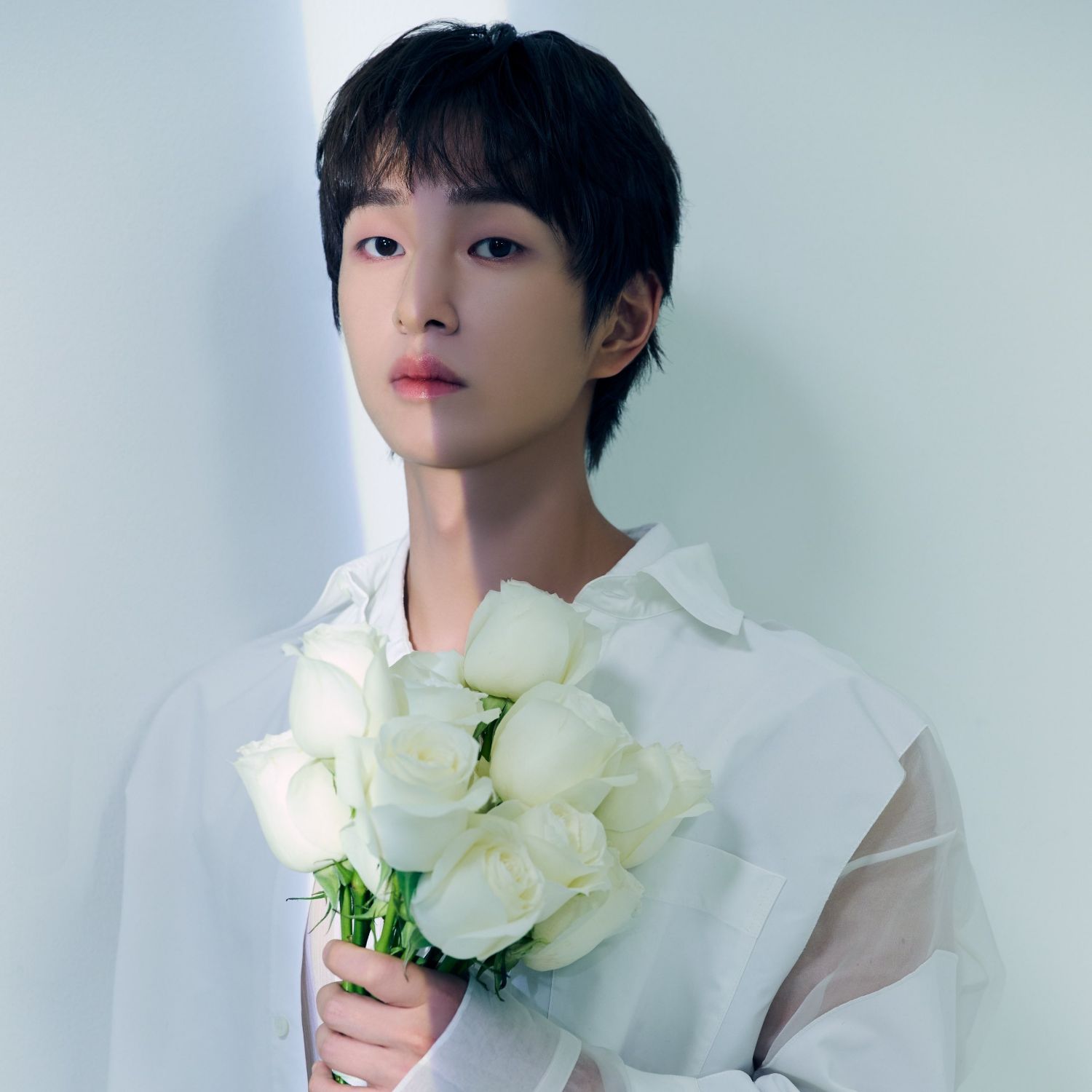 A moment captured by Onew (SHINee)'s fan