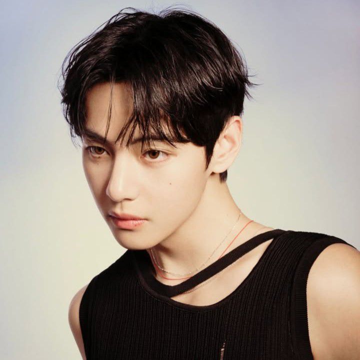 뷔 (방탄소년단) 팬이 찍은 순간