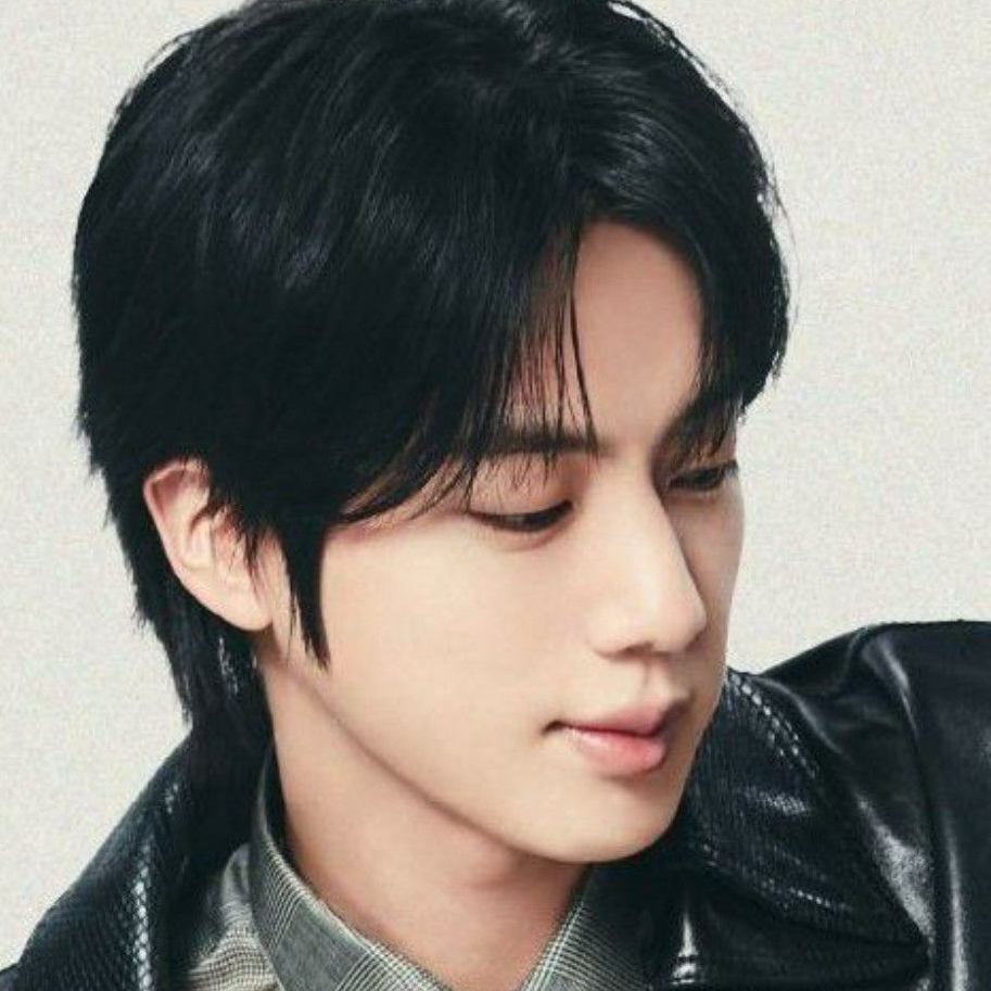 A moment captured by Jin (BTS)'s fan