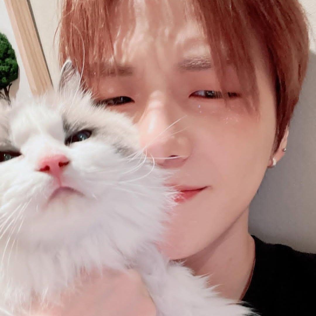 강다니엘 최근 활동샷