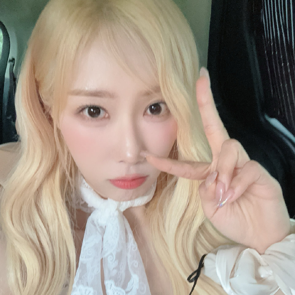 DREAMCATCHER的最新照片