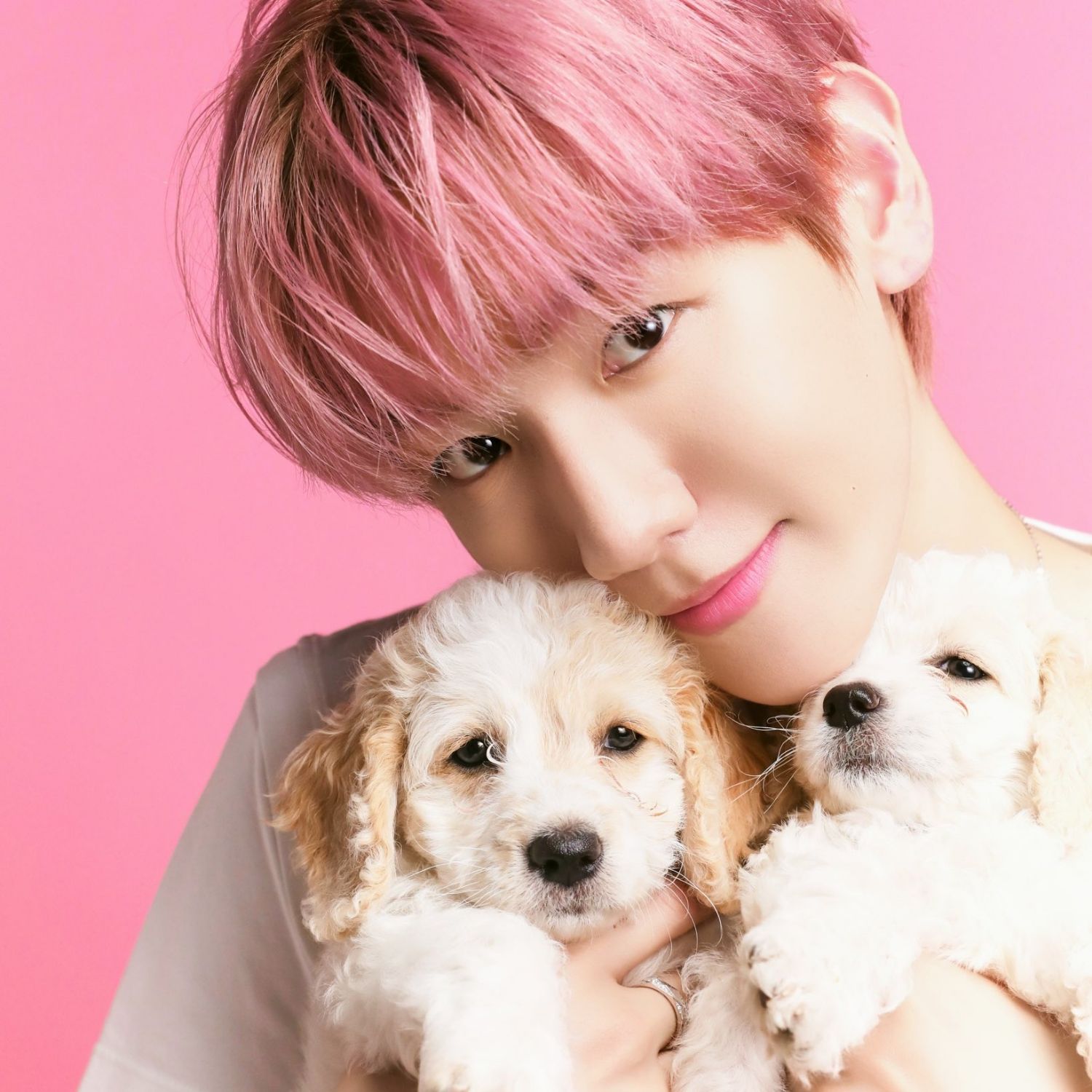Behind-the-scenes cut of Baekhyun (EXO)