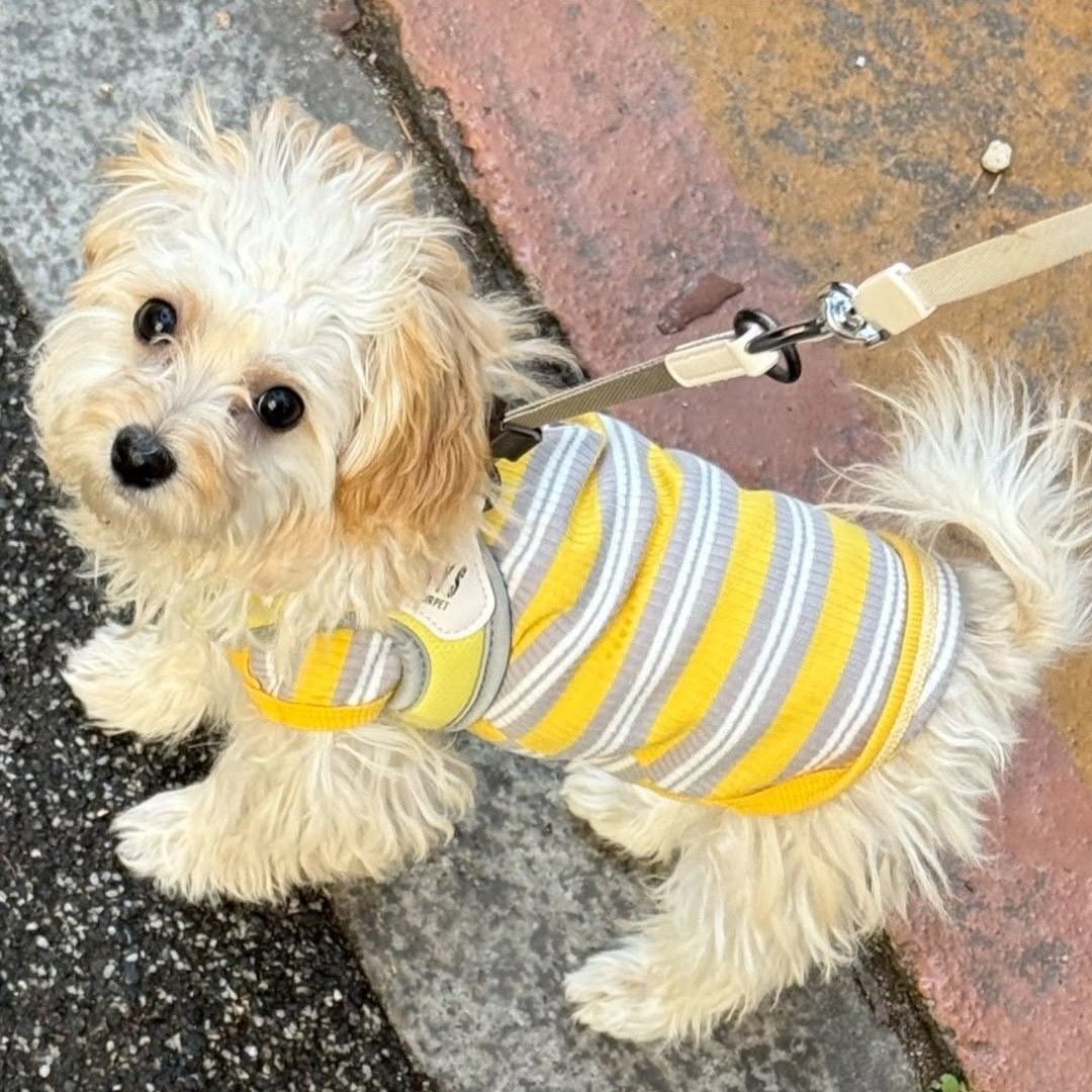 A moment captured by LEO (VIXX)'s fan