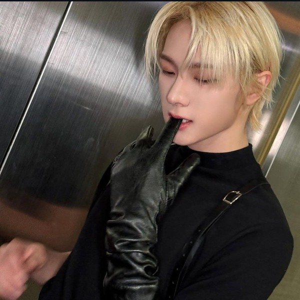 Popular profile picture of Sungho (BOYNEXTDOOR) loved by fans