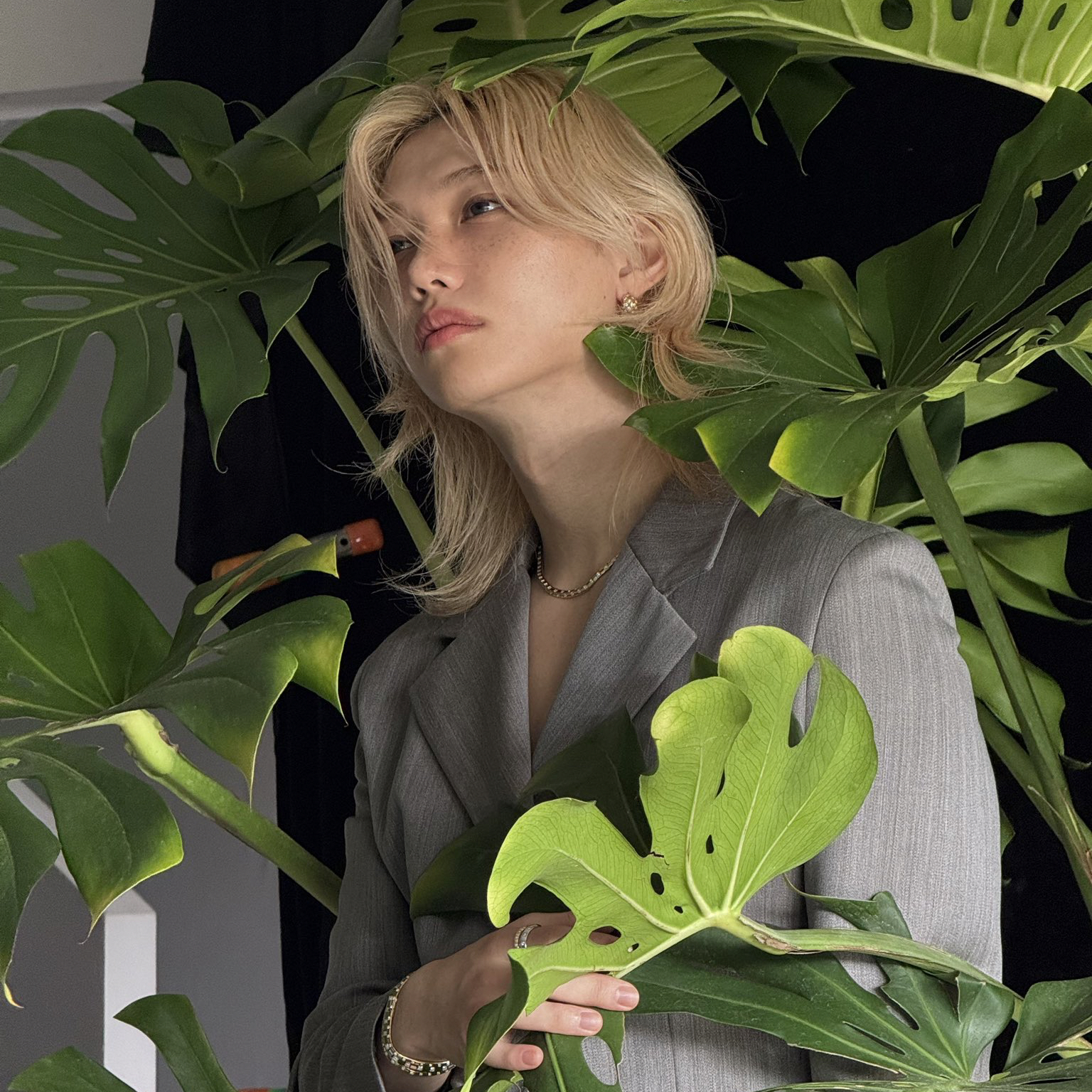 Latest photo of Felix (Stray Kids)