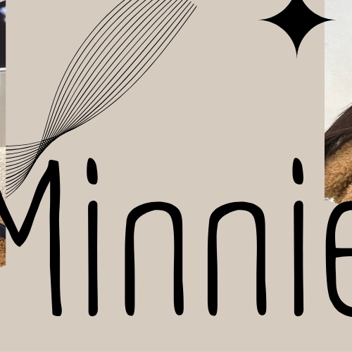 Recent activity shot of Minnie (i-dle)