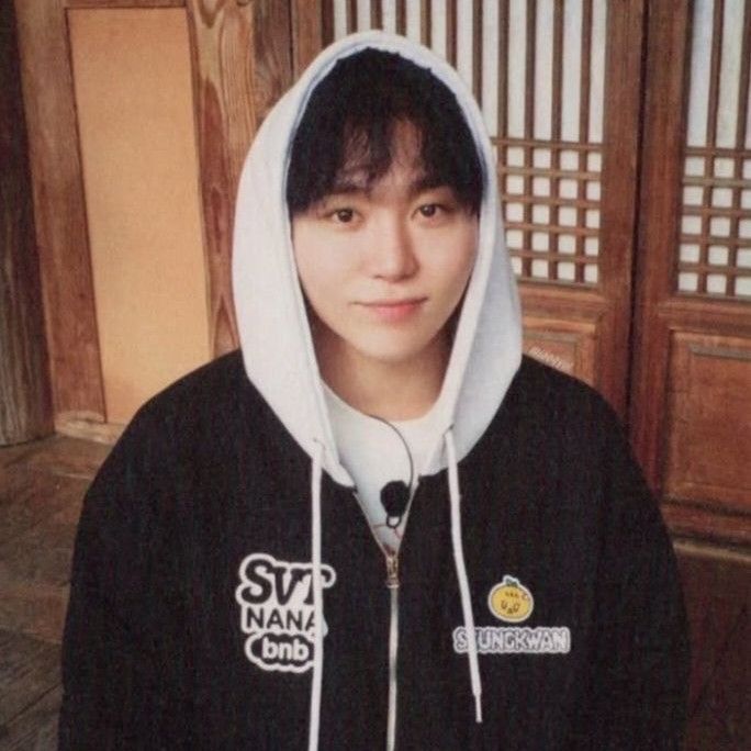 A moment captured by Seungkwan (SEVENTEEN)'s fan