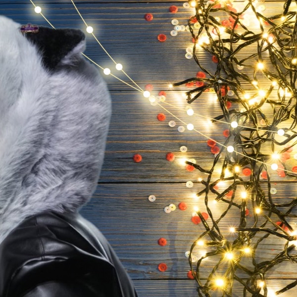 A moment captured by Minhyuk (MONSTA X)'s fan