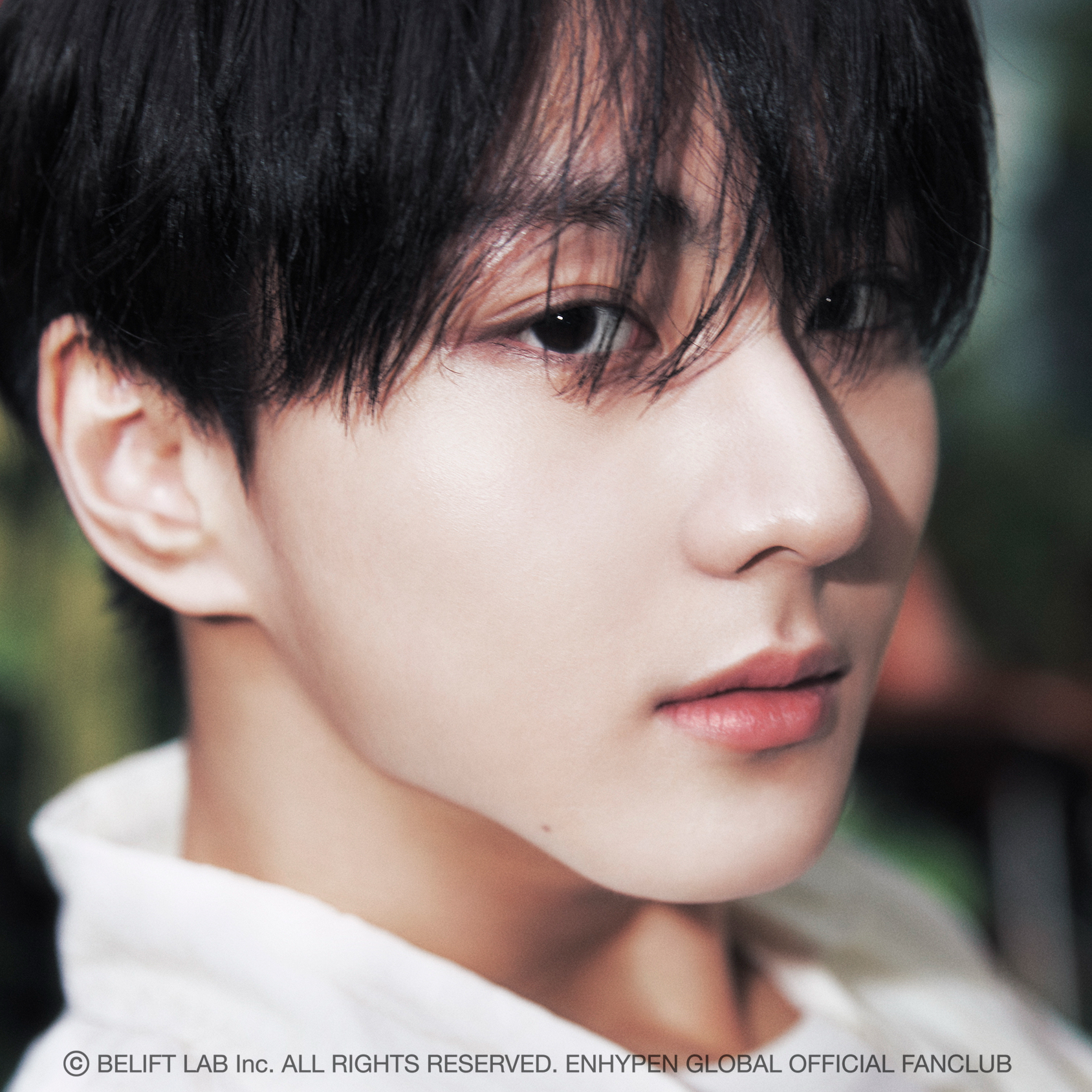 ENHYPEN ジョンウォン ファンダムコミュニティ │ KPOP人気No.1
