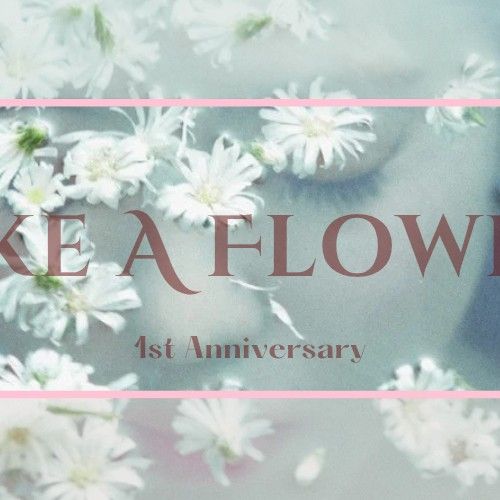 アイリーン (Red Velvet)の最新写真