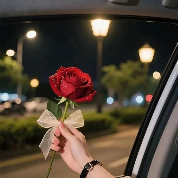 Behind-the-scenes cut of Rocky