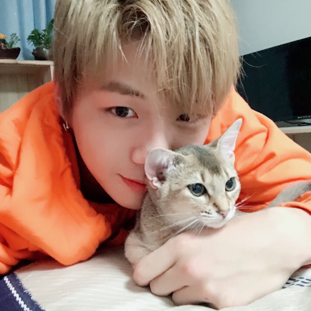 Latest photo of Kang Daniel