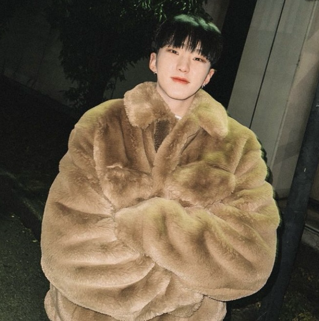 A moment captured by Hoshi (SEVENTEEN)'s fan