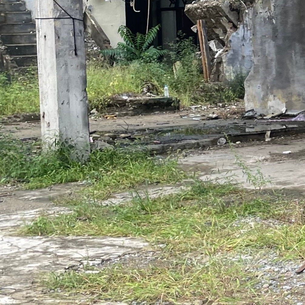 A moment captured by Cho Wonsang (LUCY)'s fan