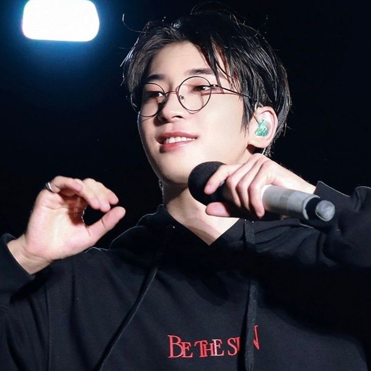 Recent activity shot of Wonwoo (SEVENTEEN)