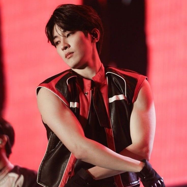 A moment captured by Wonwoo (SEVENTEEN)'s fan