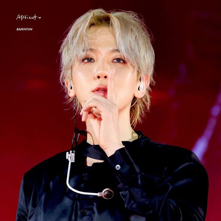 伯賢 (EXO)的幕後花絮