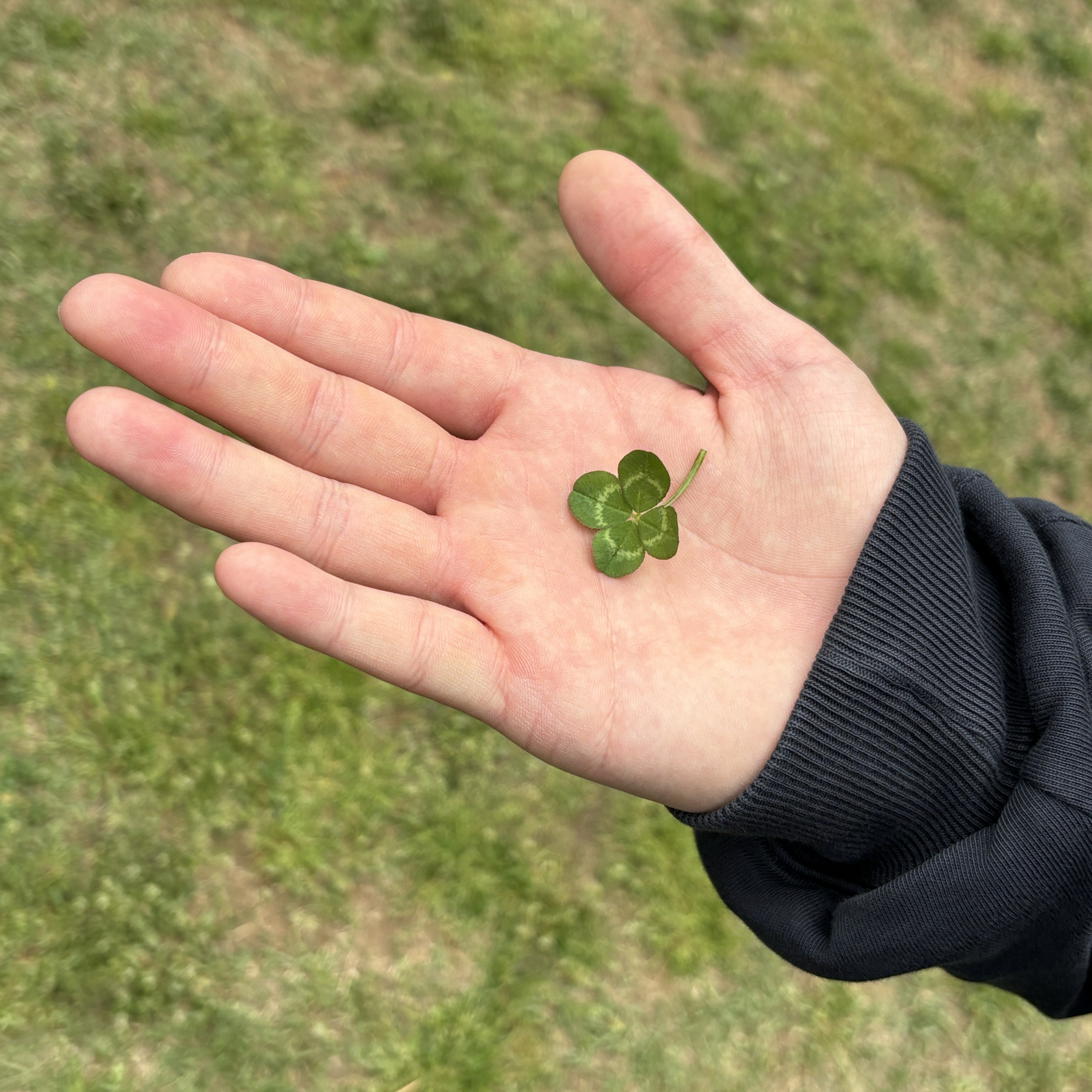 육성재 (비투비) 최근 활동샷