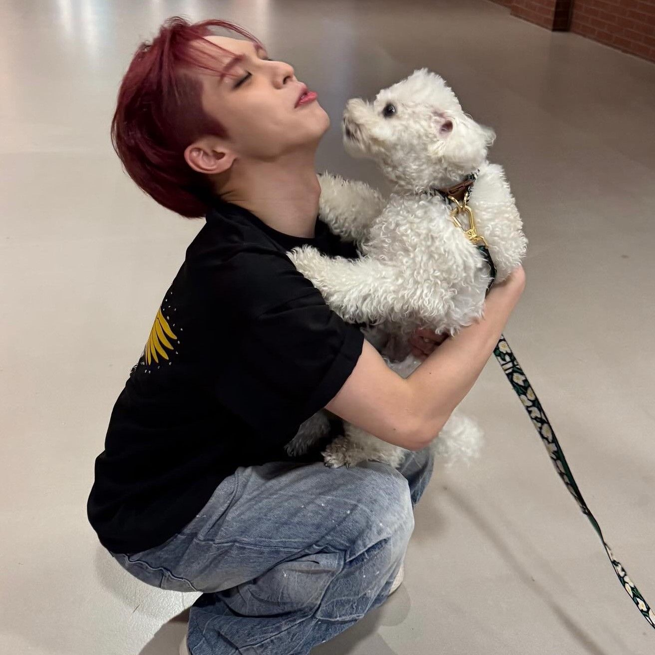 Behind-the-scenes cut of BX (CIX)