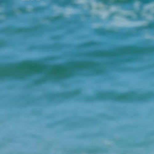 Recent activity shot of Jake (ENHYPEN)