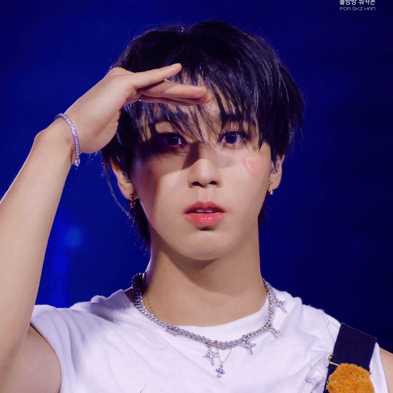 Behind-the-scenes cut of HAN (Stray Kids)
