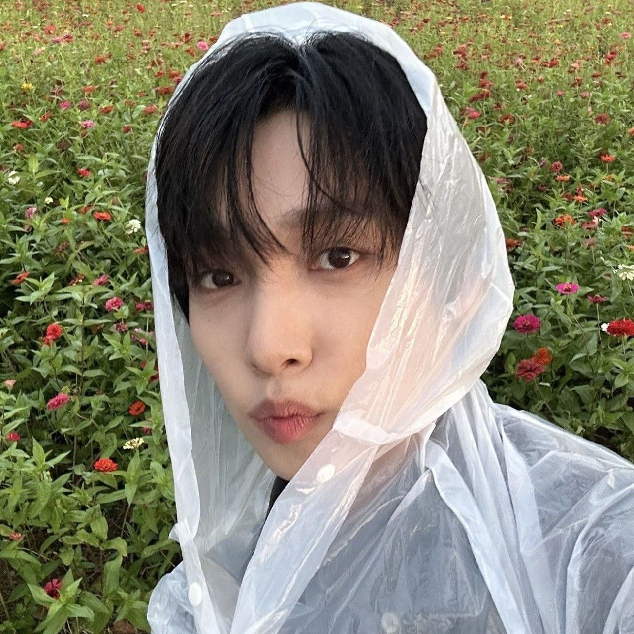 Recent activity shot of Jeong Sewoon