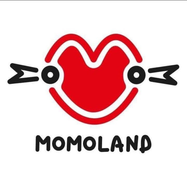 Recent activity shot of MOMOLAND