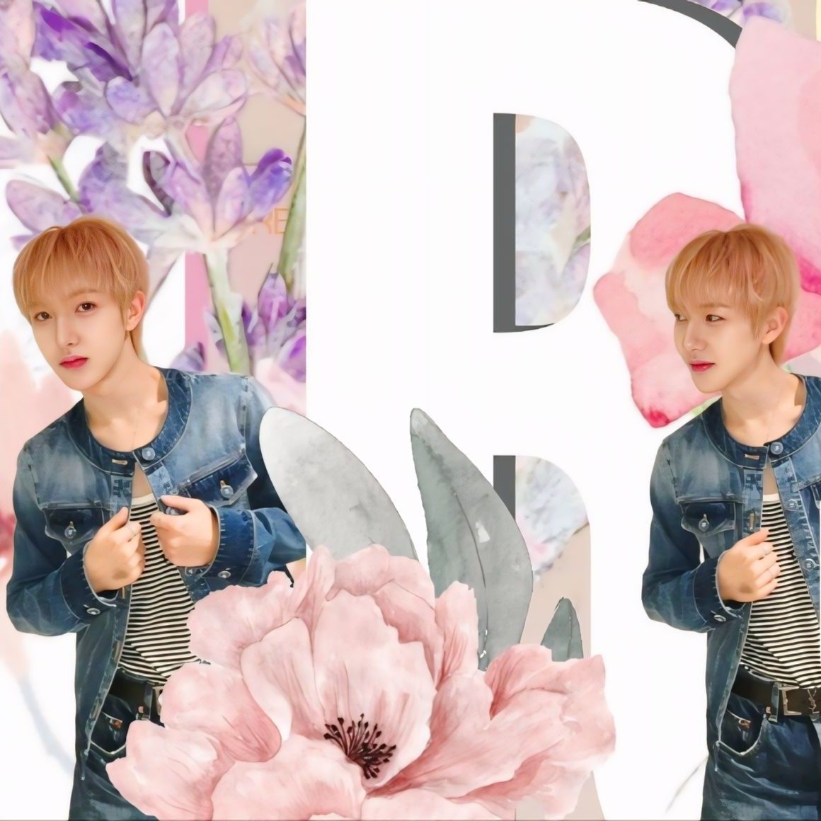 Latest photo of Renjun (NCT DREAM)