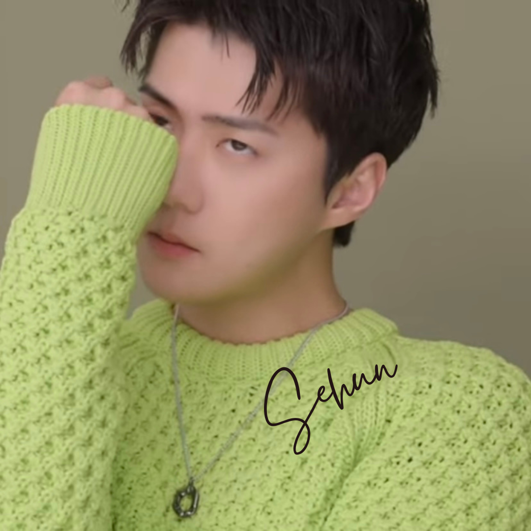 世勳 (EXO)粉絲拍下的瞬間