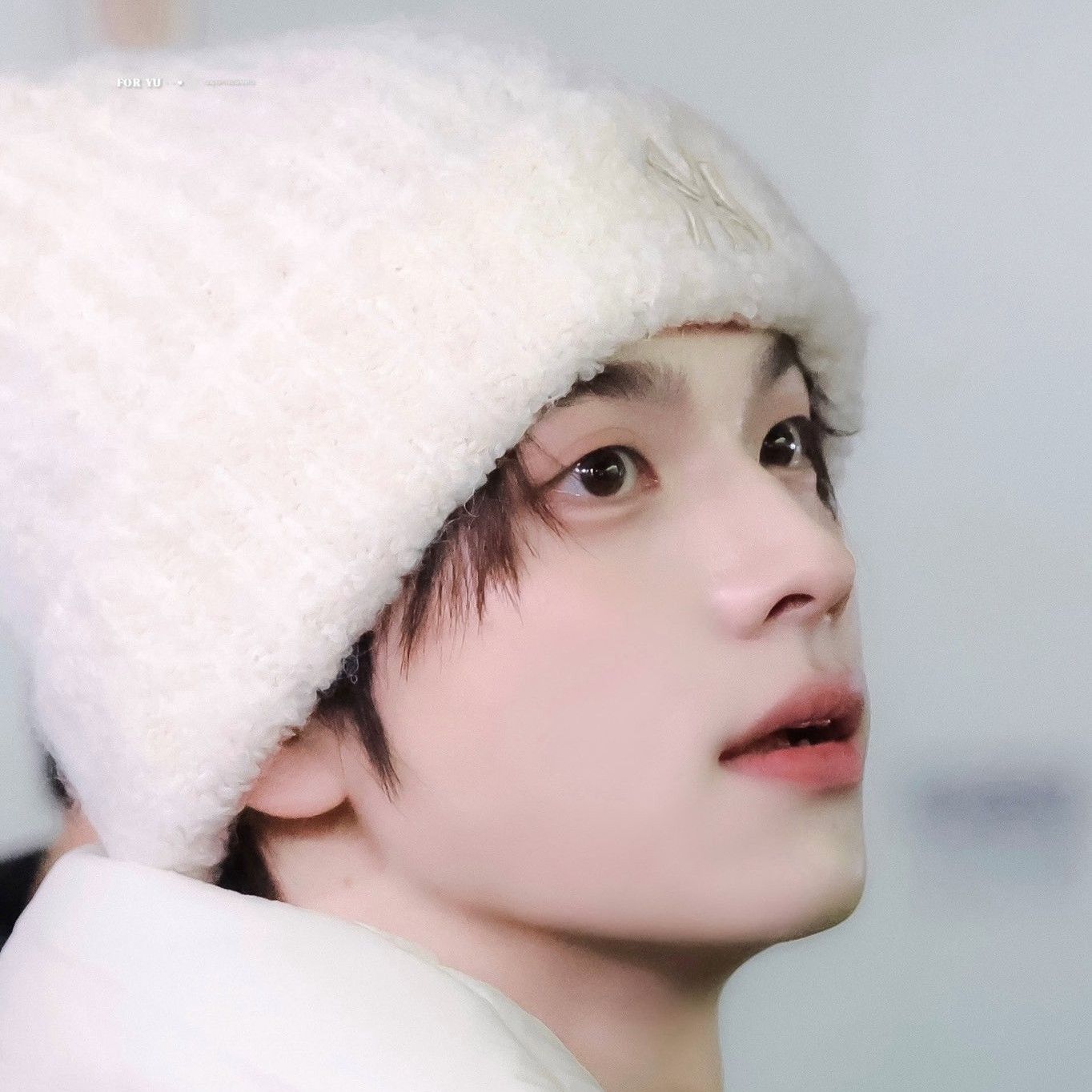 シニュ (TWS)ファンが撮った瞬間