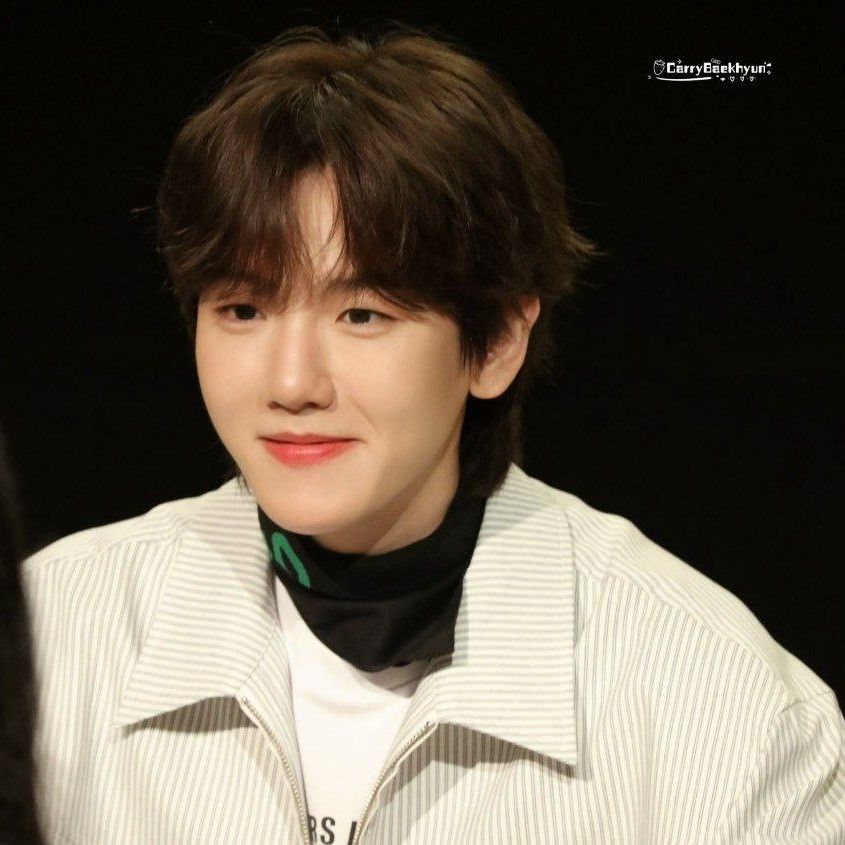 Chen (EXO)粉丝拍下的瞬间