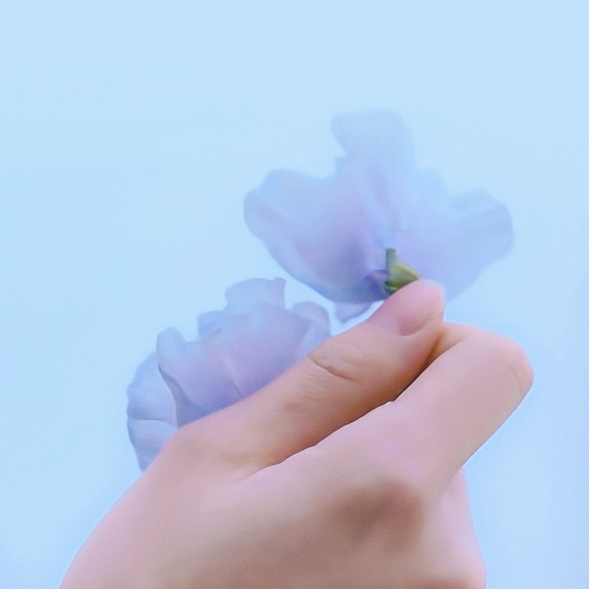 金在奐的最新照片