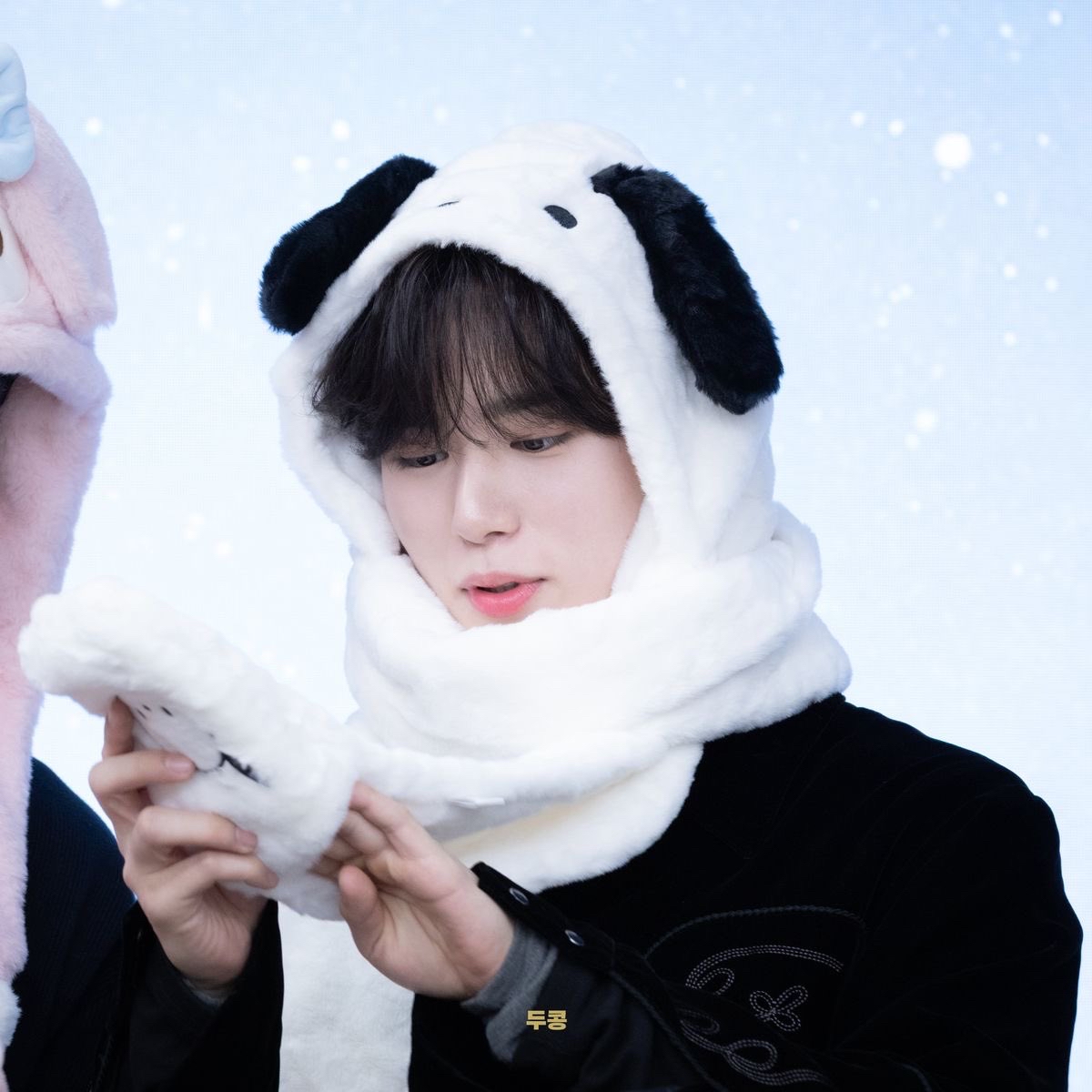 Latest photo of Kim Junseo (ALPHA DRIVE ONE)