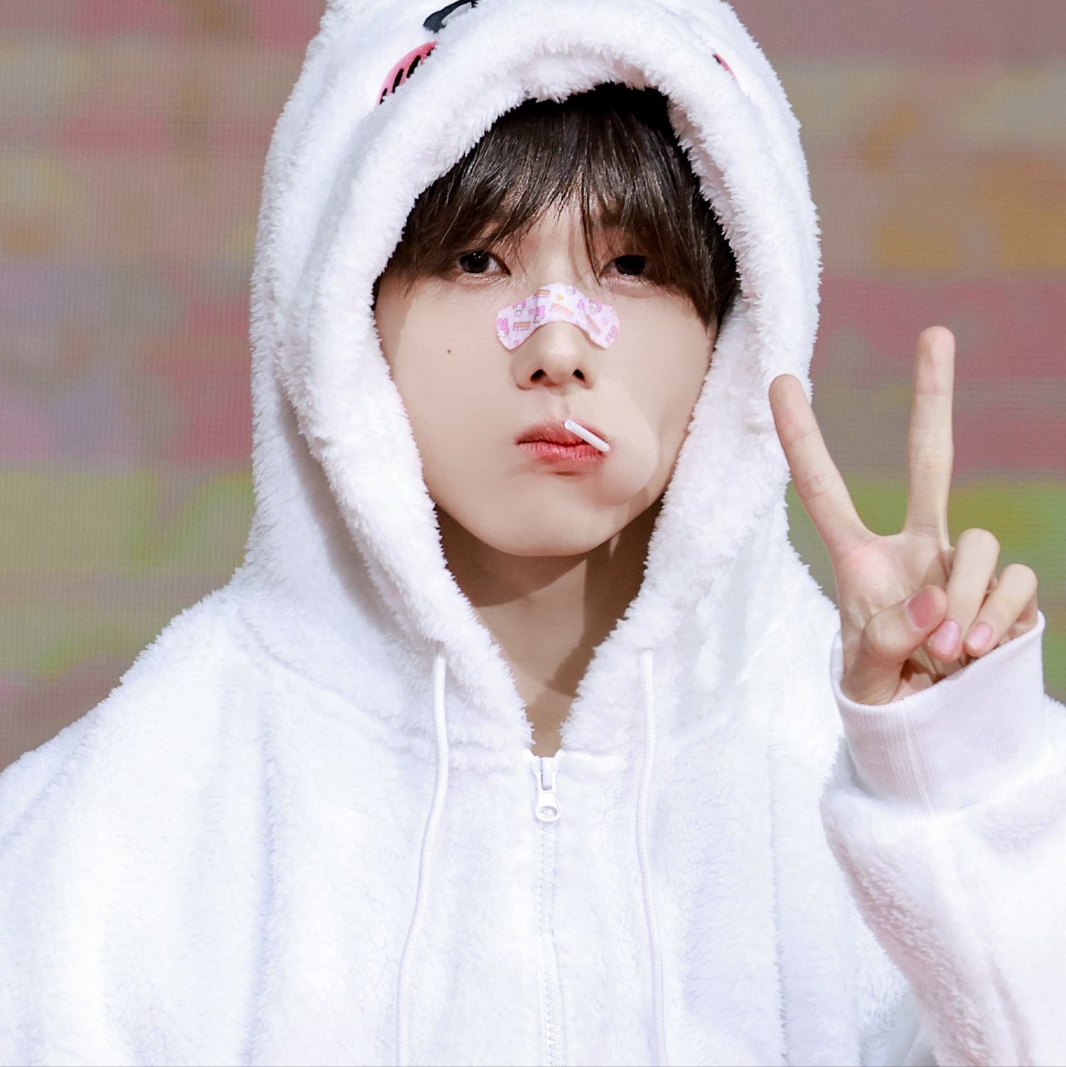 志晟 (NCT DREAM)的幕後花絮